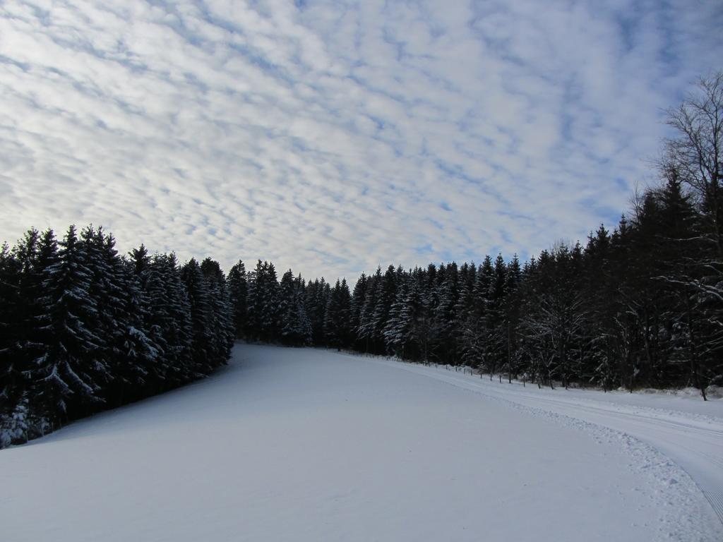 De Roosvakantiewoningen Wiemeringhausen Buitenkant foto